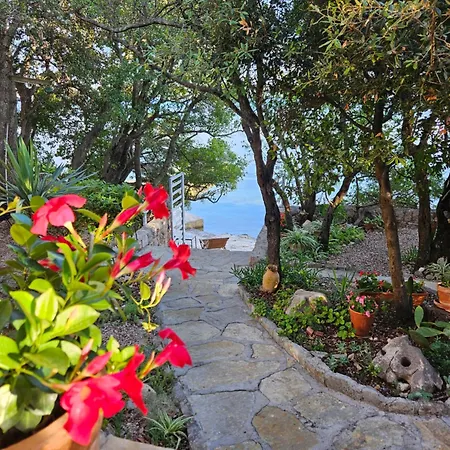 Baricevic * Posedarje